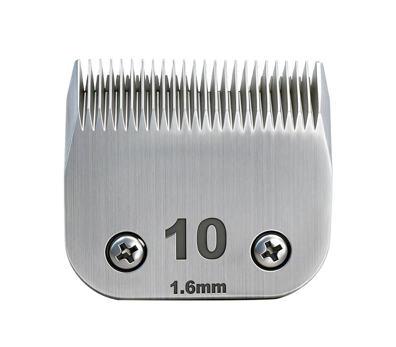 No.10 Blade