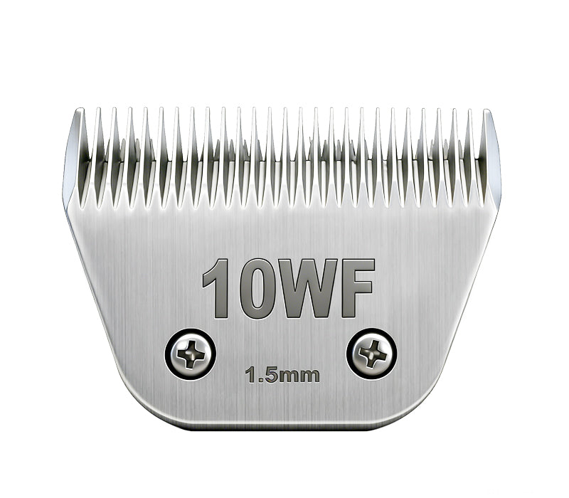 No.10 Blade