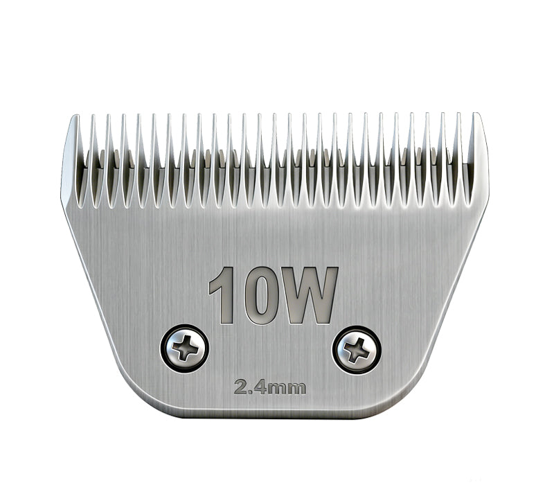 No.10 Blade